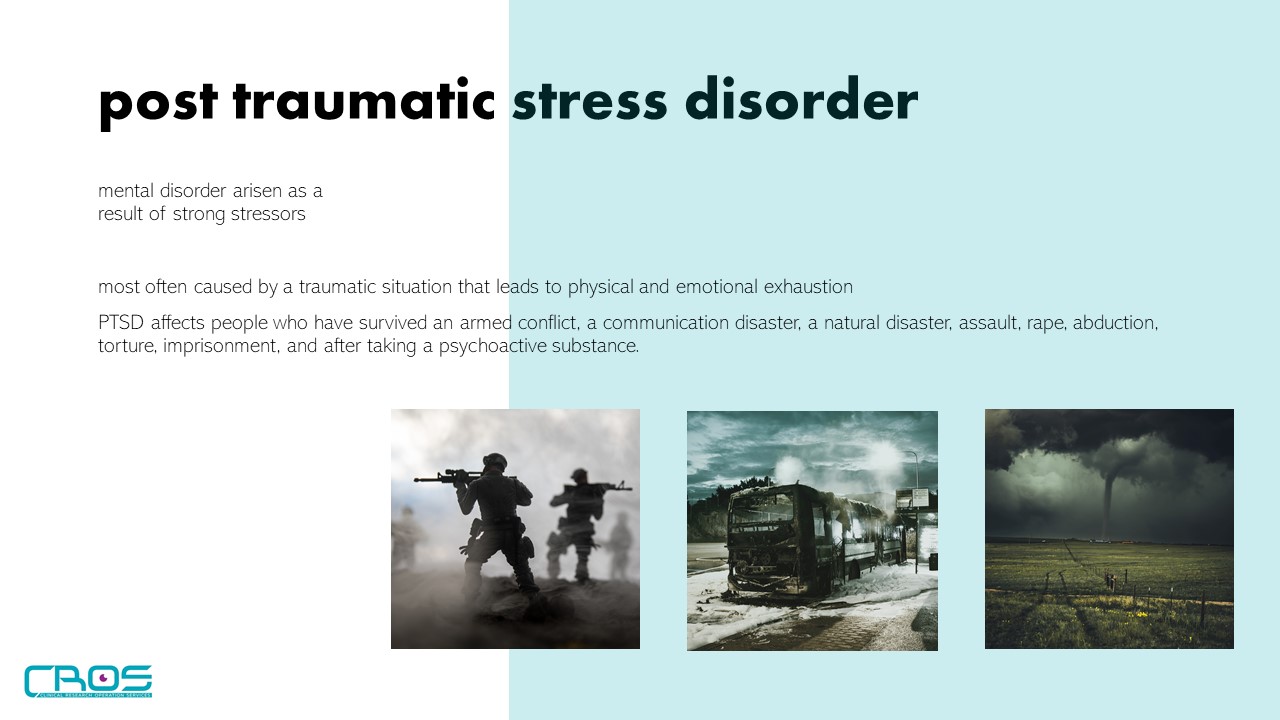 Post Traumatic Stress Disorder 2